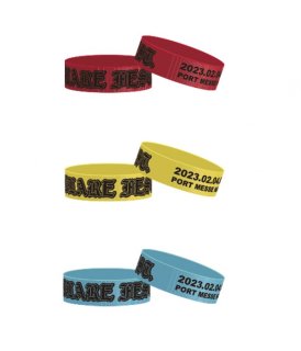 �� ͽ���� ��BLARE FEST.23 RUBBER BRACELET��1/27(��)�ޤǤ�ȯ��